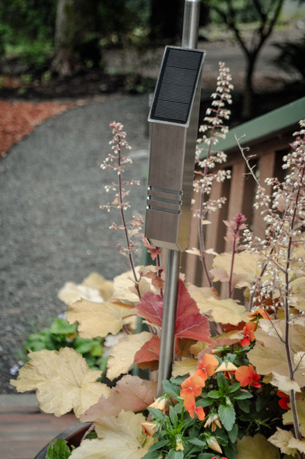 StarLight - Designer Series 'Bubbles' - Solar Powered LED Accent Light